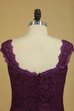 Plus Size Off The Shoulder Lace Evening Dresses Sheath/Column With Applique Grape