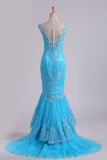 Mermaid Evening Dresses Bateau Tulle With Applique Sweep Train