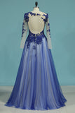 See-Through Prom Dresses Scoop Long Sleeves Tulle With Applique A Line