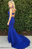 Royal Blue Scoop Mermaid Sleeveless Backless Beads Spandex Prom Dresses JS618