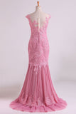 Mermaid Evening Dresses Bateau Tulle With Applique Sweep Train