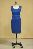 Sheath/Column Evening Dresses Off The Shoulder Lace With Ribbon Dark Royal Blue