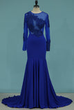 Mermaid Blue Prom Dress Long Sleeves