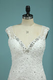 New Arrival Wedding Dresses V Neck Mermaid Tulle With Applique Chapel Train