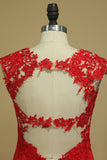 Red Straps Open Back Sheath Prom Dresses Spandex With Applique Open Back