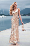 Sexy Mermaid Sequin V Neck Prom Dresses for Women V Back Pink Party Dresses SJS15340