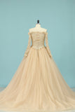 Wedding Dresses V Neck Long Sleeves Tulle With Applique A Line