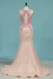 Prom Dresses Scoop See-Through Mermaid Elastic Satin With Applique