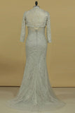 Evening Dresses Column/Sheath V Neck Beaded Bodice Tulle & Lace