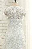 A Line V Neck Vintage High Low Capped Sleeves Lace Appliques Wedding Dresses JS332